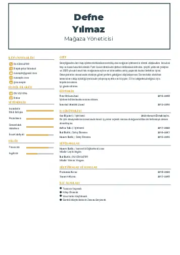 Yönetici CV Örnekleri cv indir